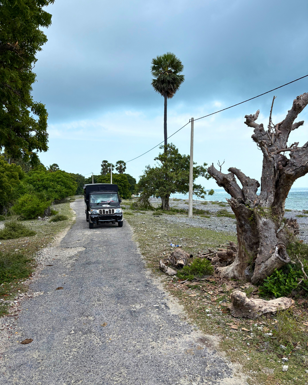 Север и восток Шри-Ланки: от нетронутых пляжей до богатого культурного наследия (61/126)