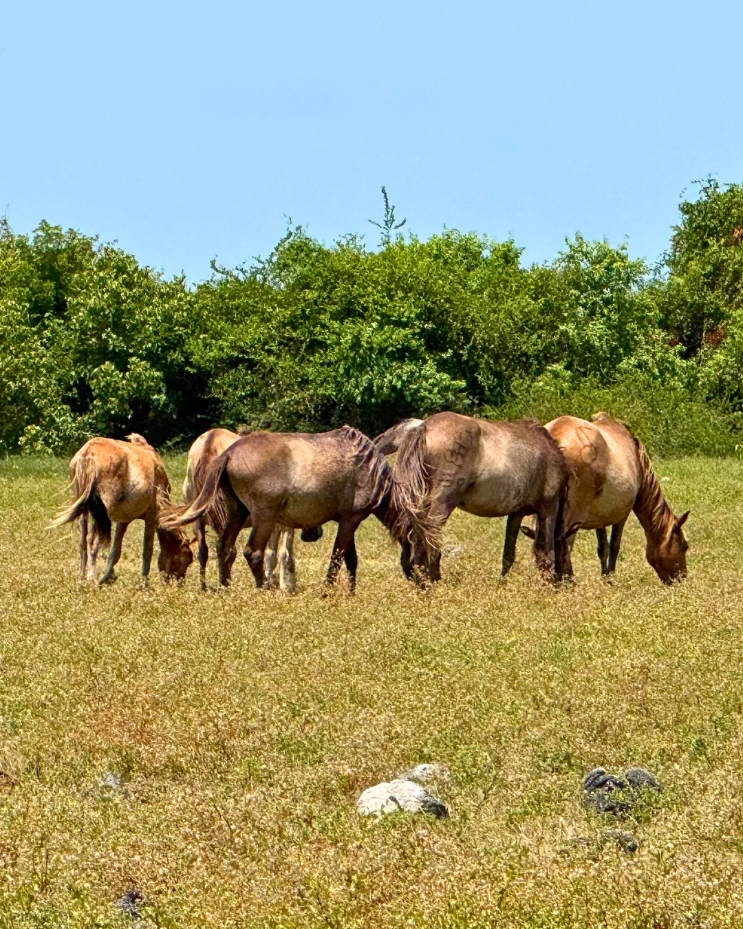 Север и восток Шри-Ланки: от нетронутых пляжей до богатого культурного наследия (76/126)