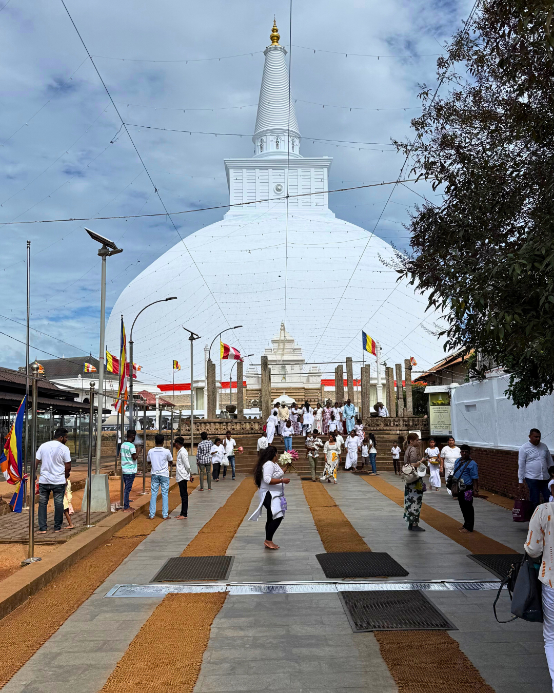 Север и восток Шри-Ланки: от нетронутых пляжей до богатого культурного наследия (72/126)