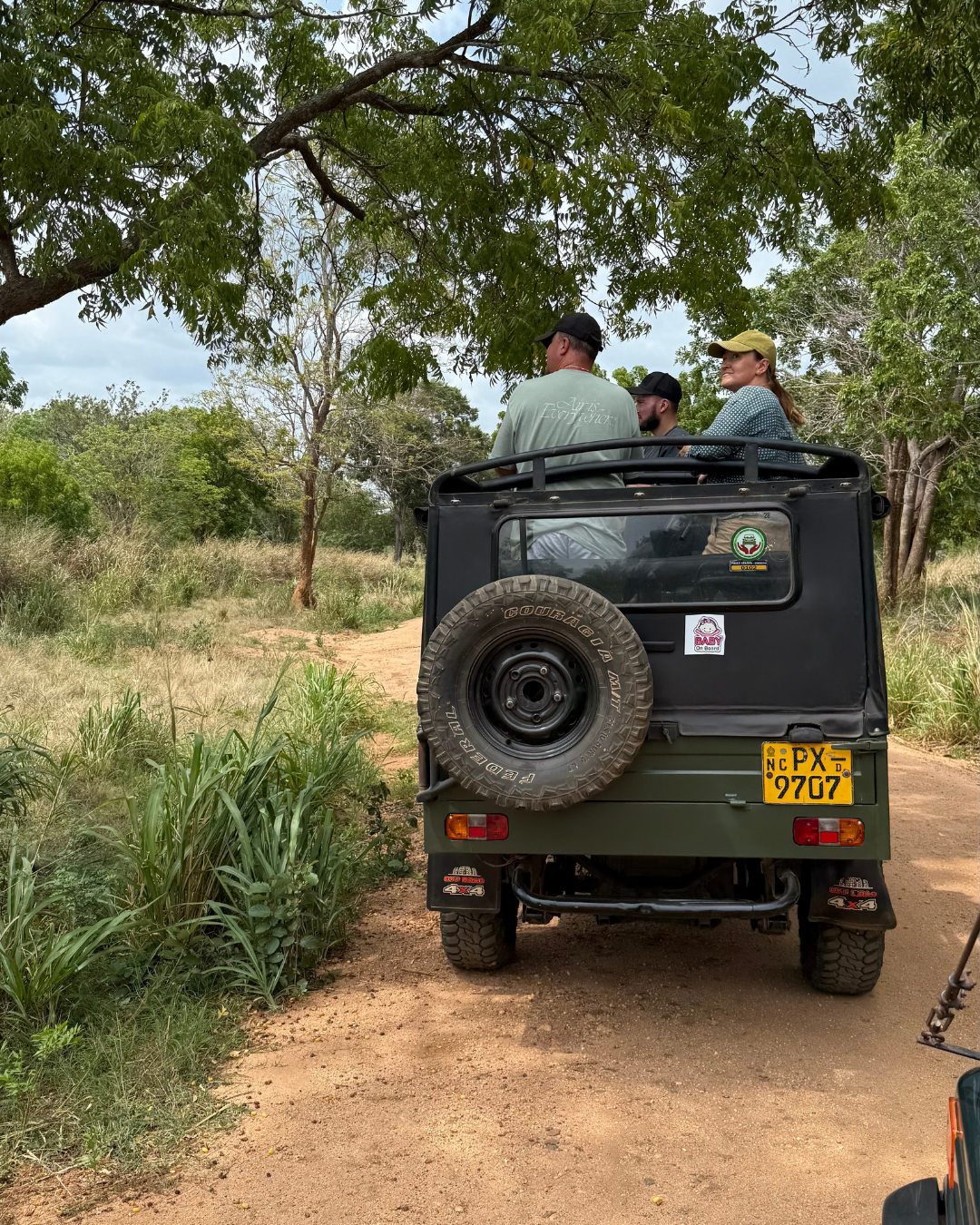 Север и восток Шри-Ланки: от нетронутых пляжей до богатого культурного наследия (9/126)