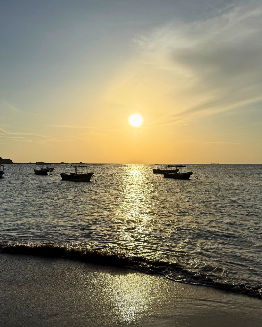 Север и восток Шри-Ланки: от нетронутых пляжей до богатого культурного наследия (12/126)