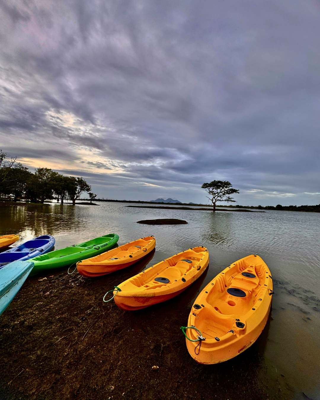 Север и восток Шри-Ланки: от нетронутых пляжей до богатого культурного наследия (20/126)