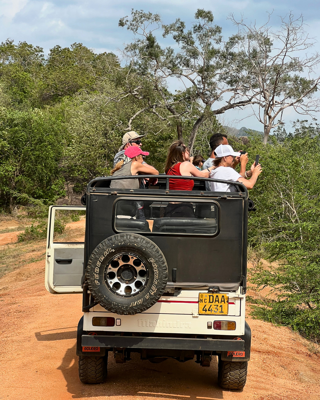 Север и восток Шри-Ланки: от нетронутых пляжей до богатого культурного наследия (52/126)
