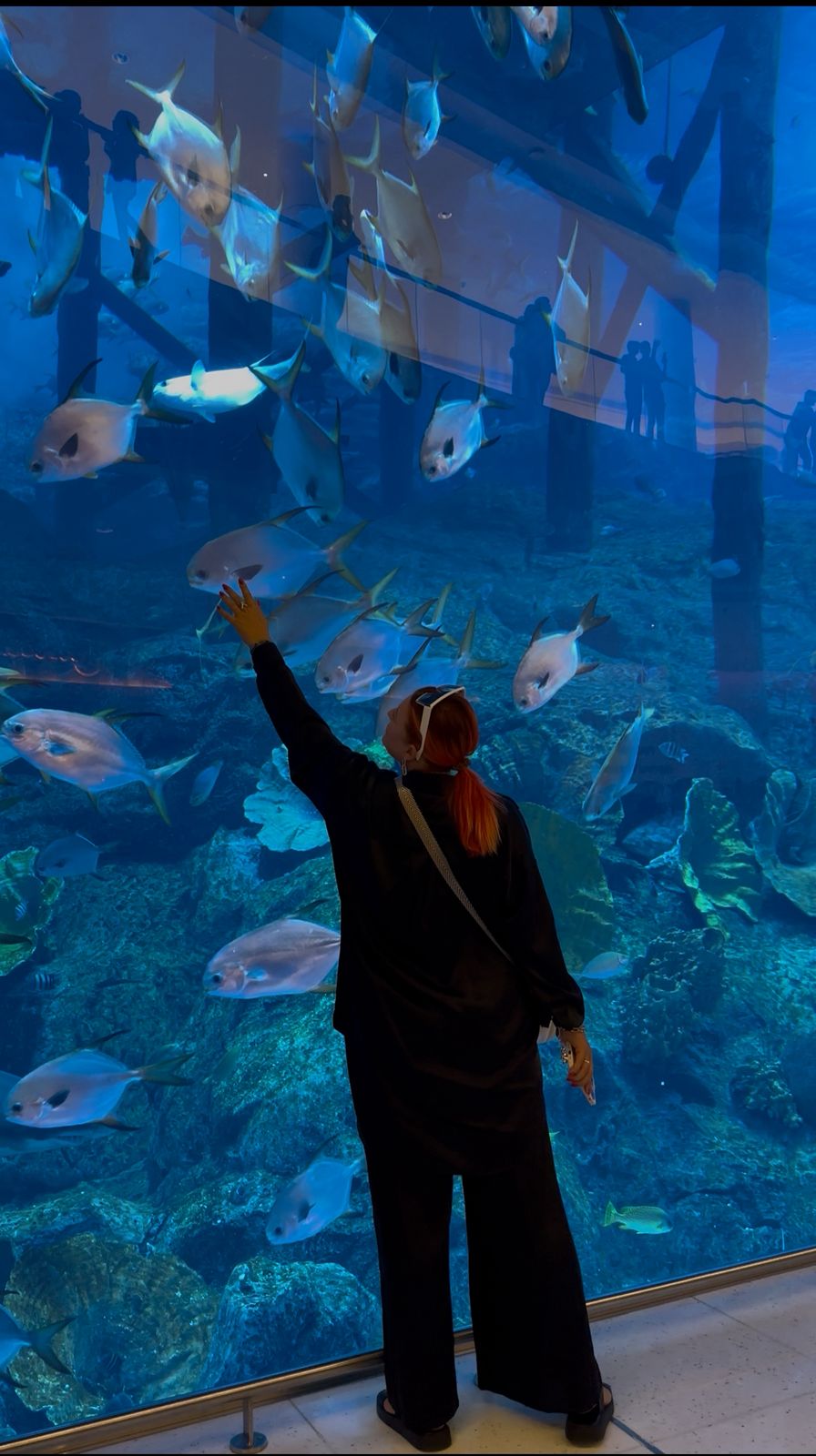 Дубай: будущее, традиции и немного магии с профессиональным гидом. (5/8)