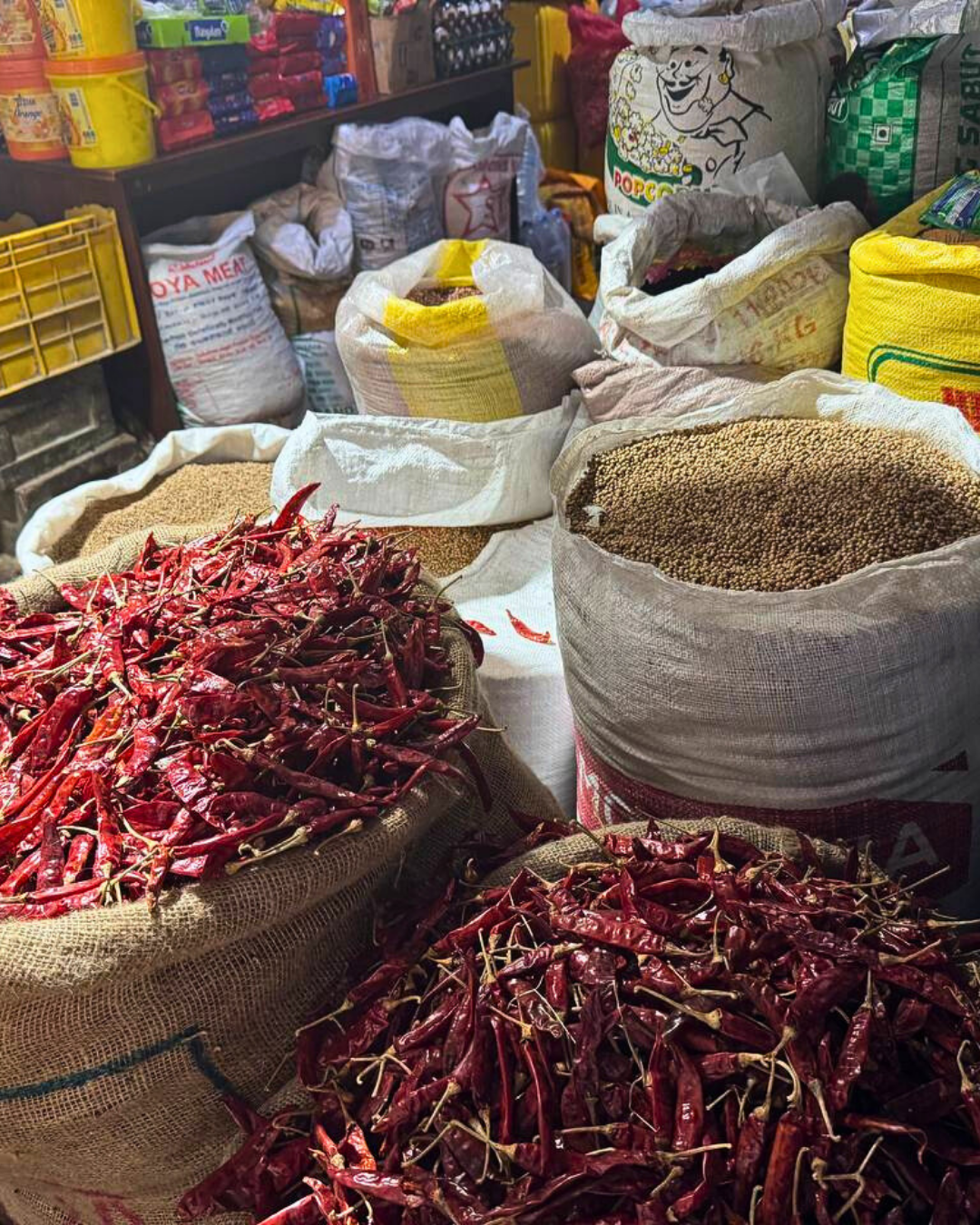 Север и восток Шри-Ланки: от нетронутых пляжей до богатого культурного наследия (54/126)