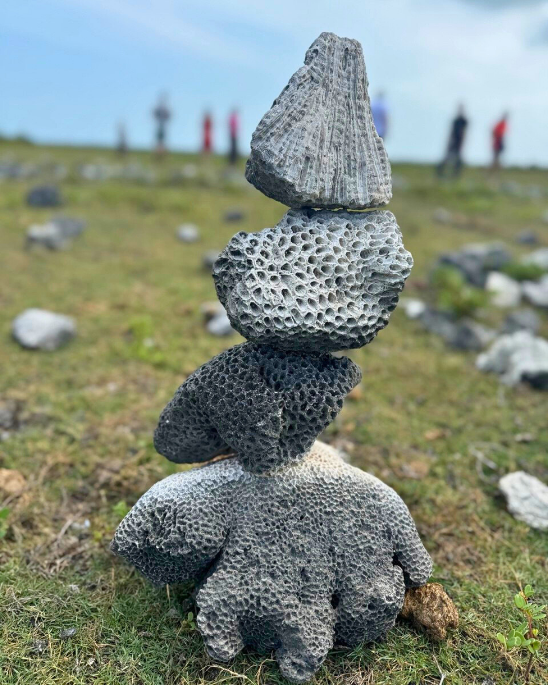 Север и восток Шри-Ланки: от нетронутых пляжей до богатого культурного наследия (37/126)