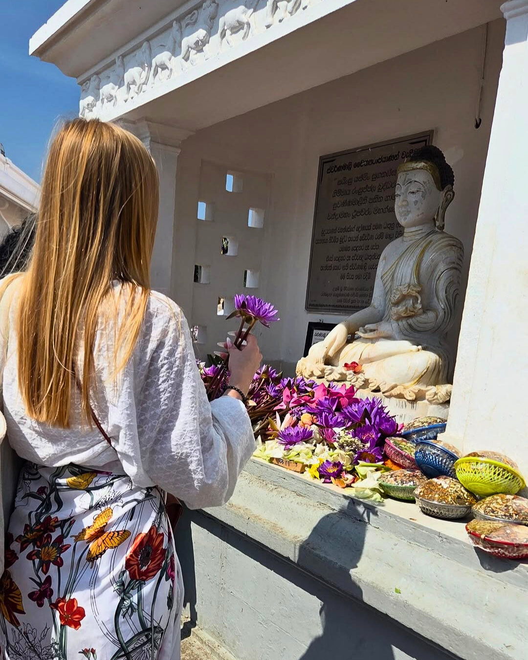 Север и восток Шри-Ланки: от нетронутых пляжей до богатого культурного наследия (18/126)