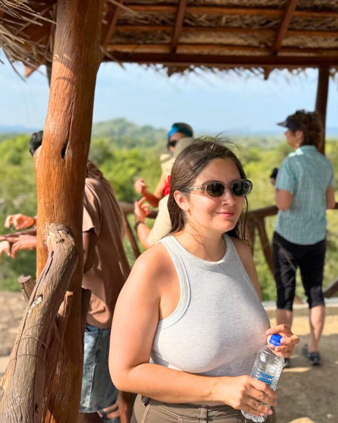 Север и восток Шри-Ланки: от нетронутых пляжей до богатого культурного наследия (33/126)