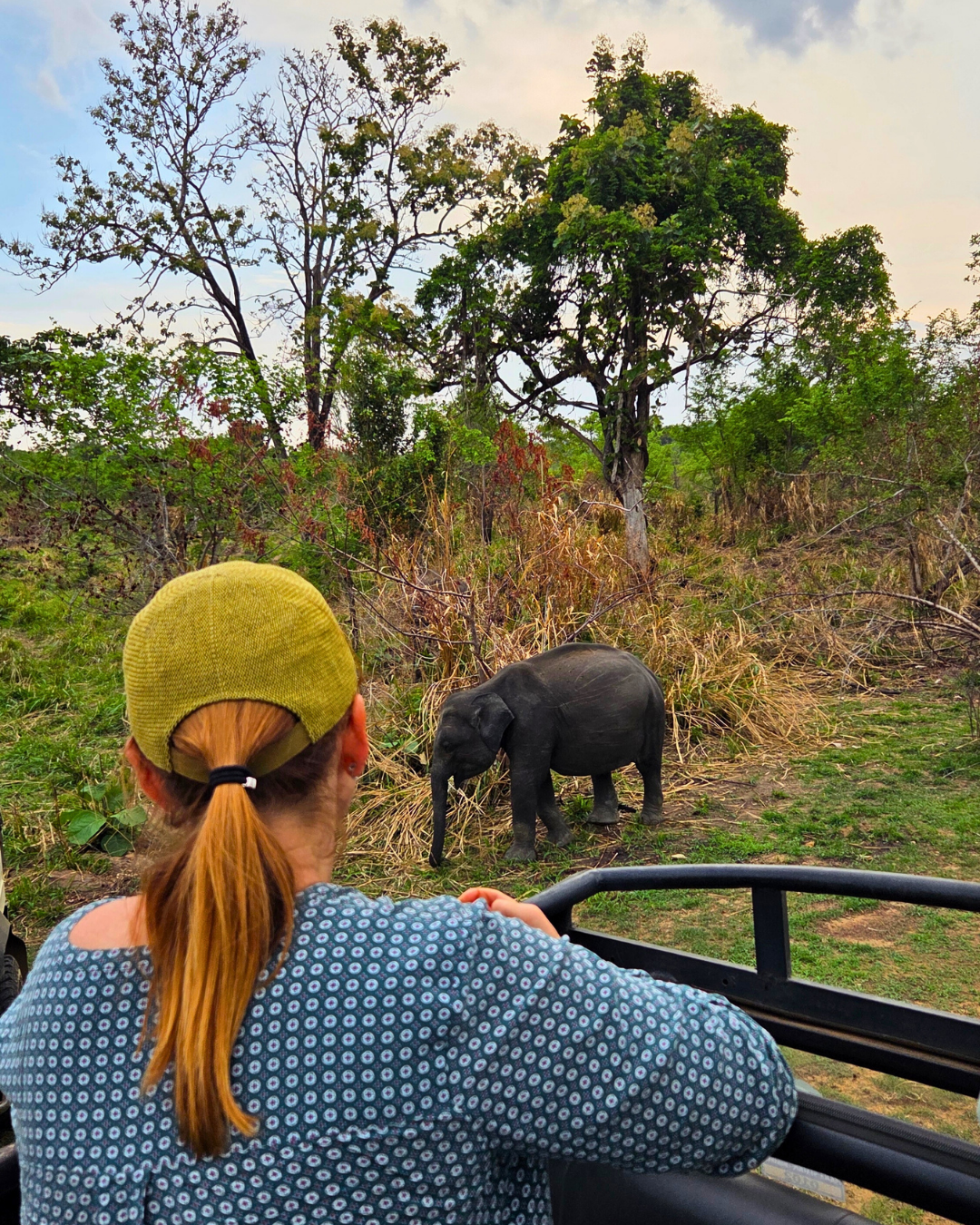 Север и восток Шри-Ланки: от нетронутых пляжей до богатого культурного наследия (84/126)