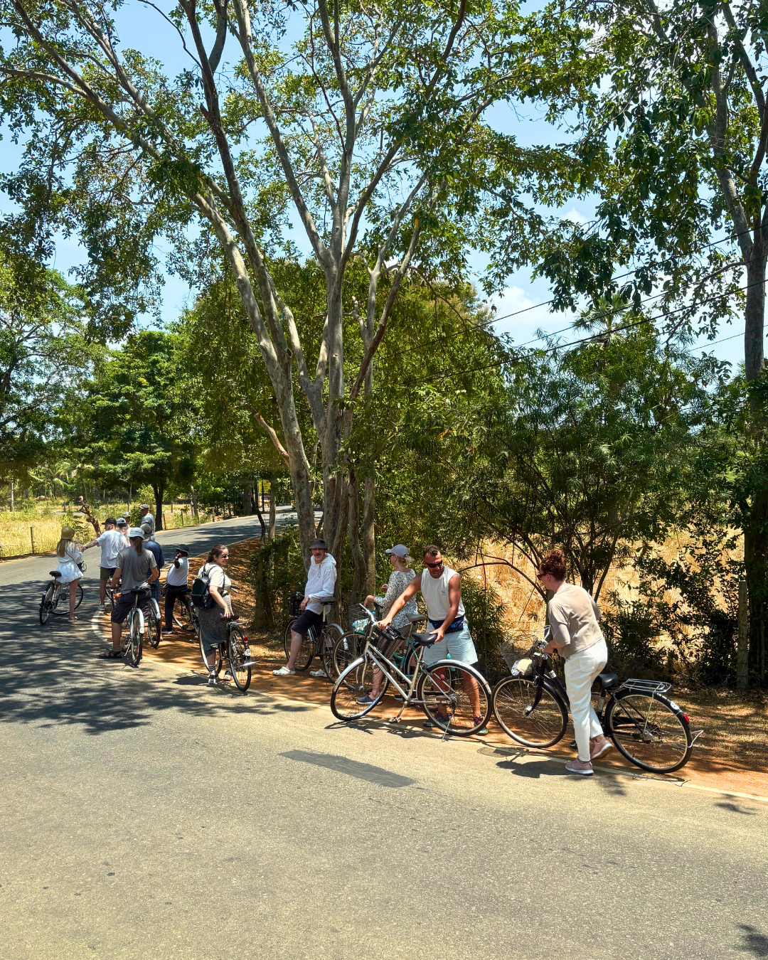 Север и восток Шри-Ланки: от нетронутых пляжей до богатого культурного наследия (60/126)