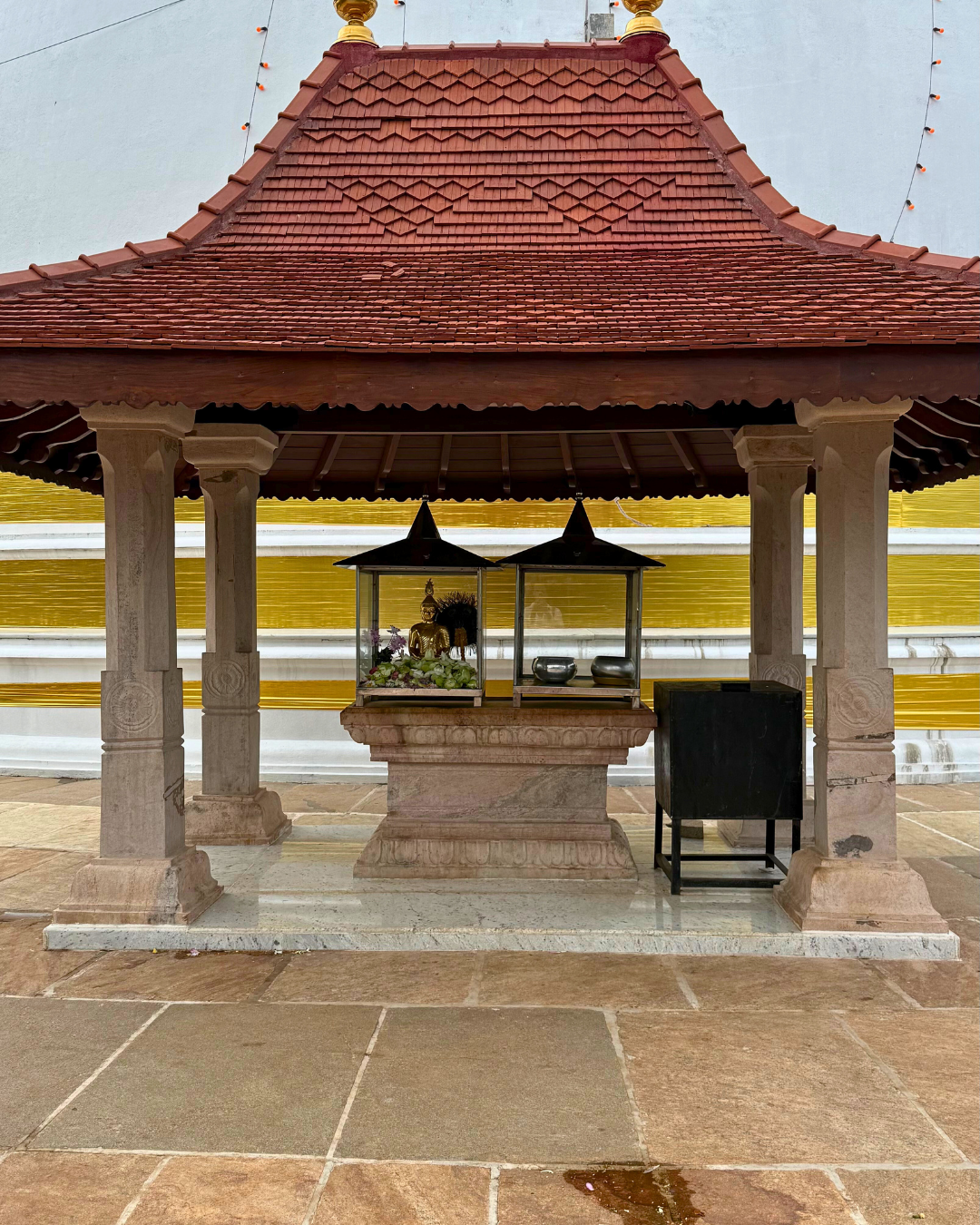 Север и восток Шри-Ланки: от нетронутых пляжей до богатого культурного наследия (50/126)