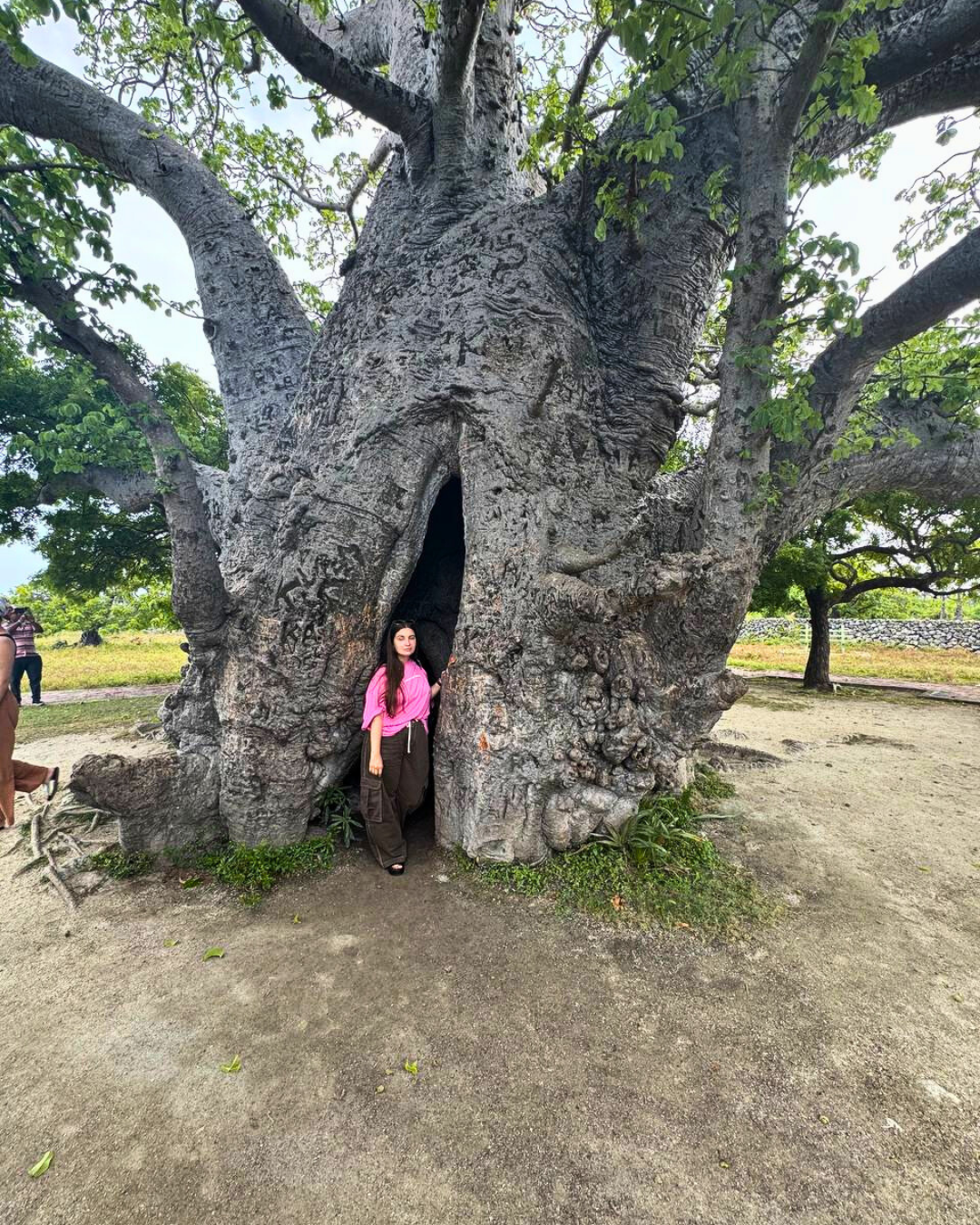 Север и восток Шри-Ланки: от нетронутых пляжей до богатого культурного наследия (10/126)