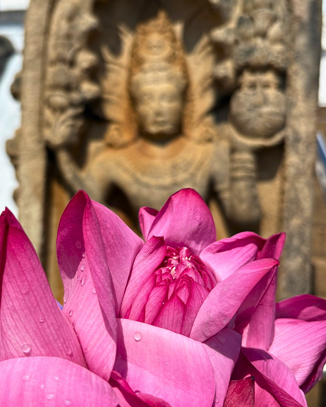 Север и восток Шри-Ланки: от нетронутых пляжей до богатого культурного наследия (59/126)