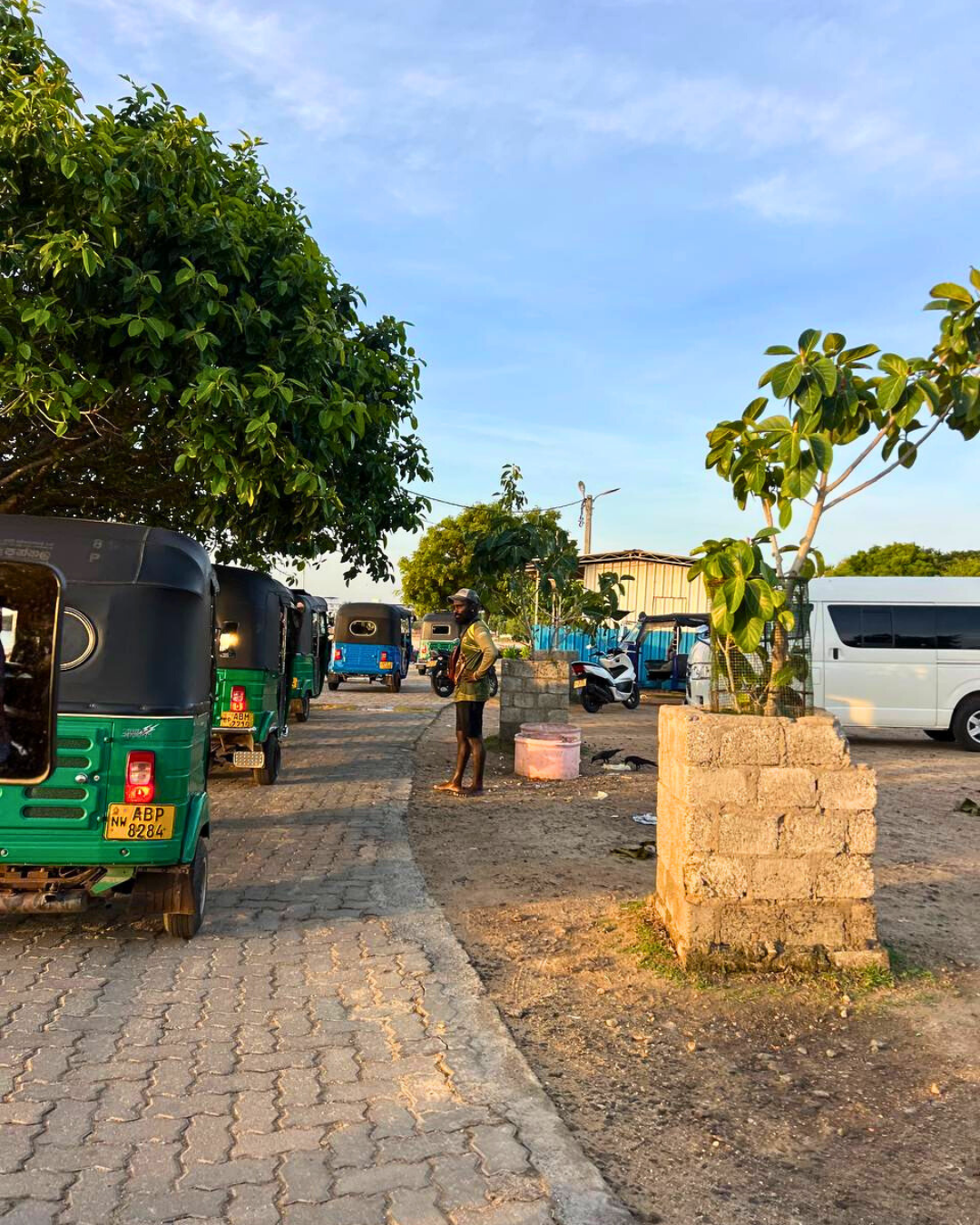 Север и восток Шри-Ланки: от нетронутых пляжей до богатого культурного наследия (53/126)