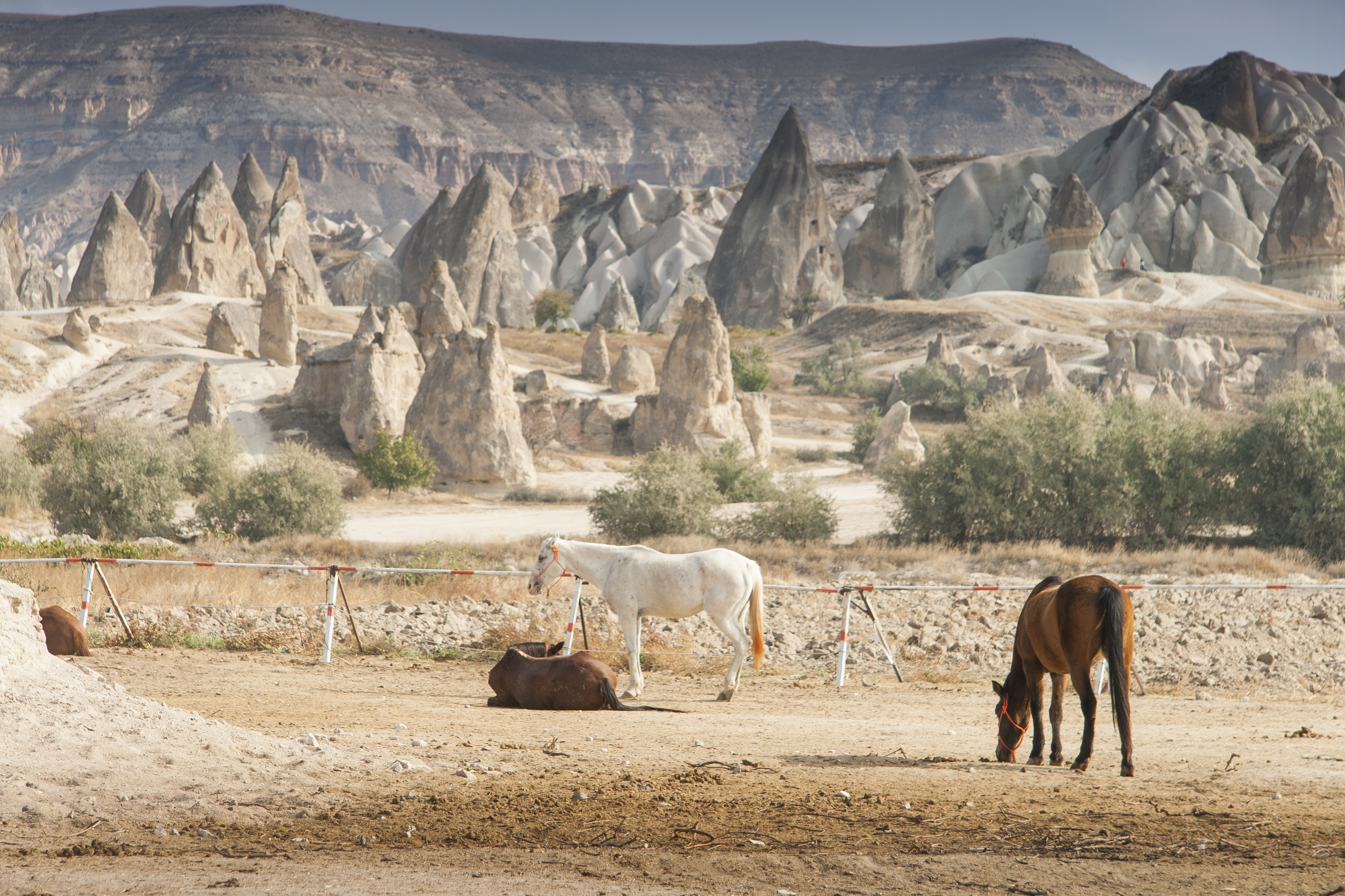 3 дня в волшебной Каппадокии (9/13)