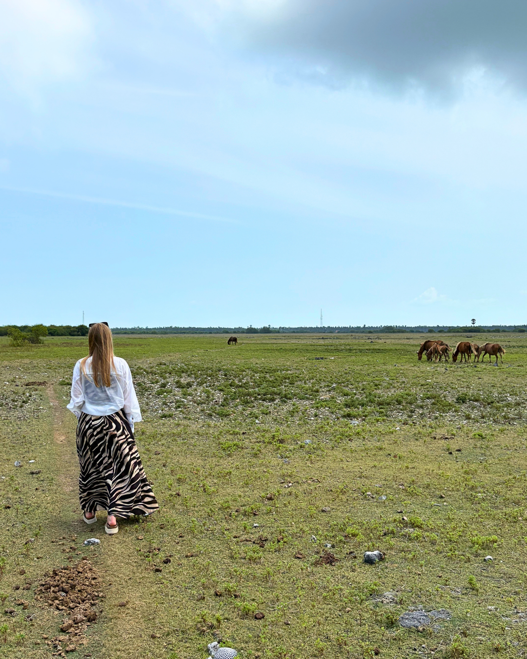 Север и восток Шри-Ланки: от нетронутых пляжей до богатого культурного наследия (29/126)