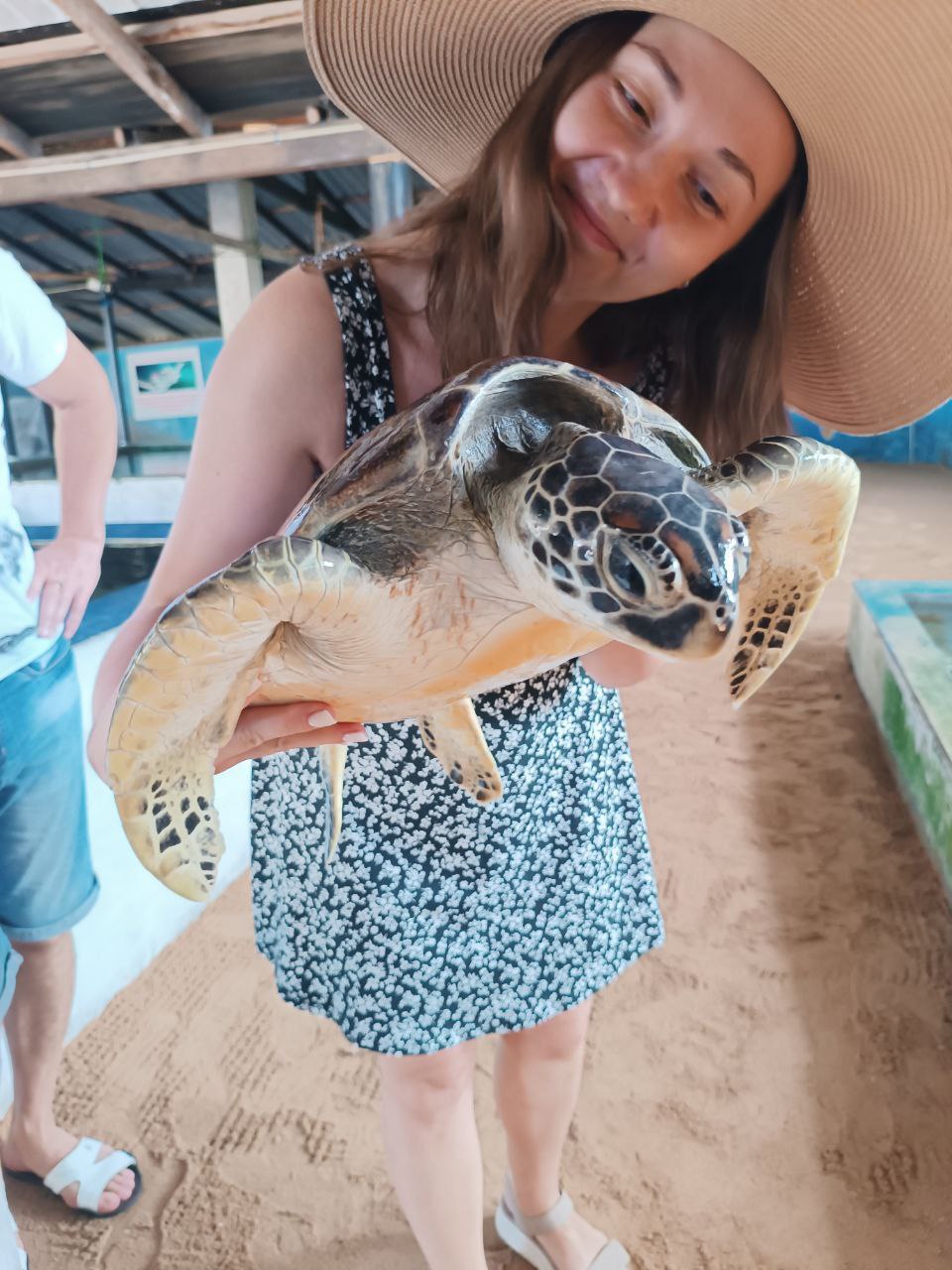 Речное Сафари + форт Галле (8/15)