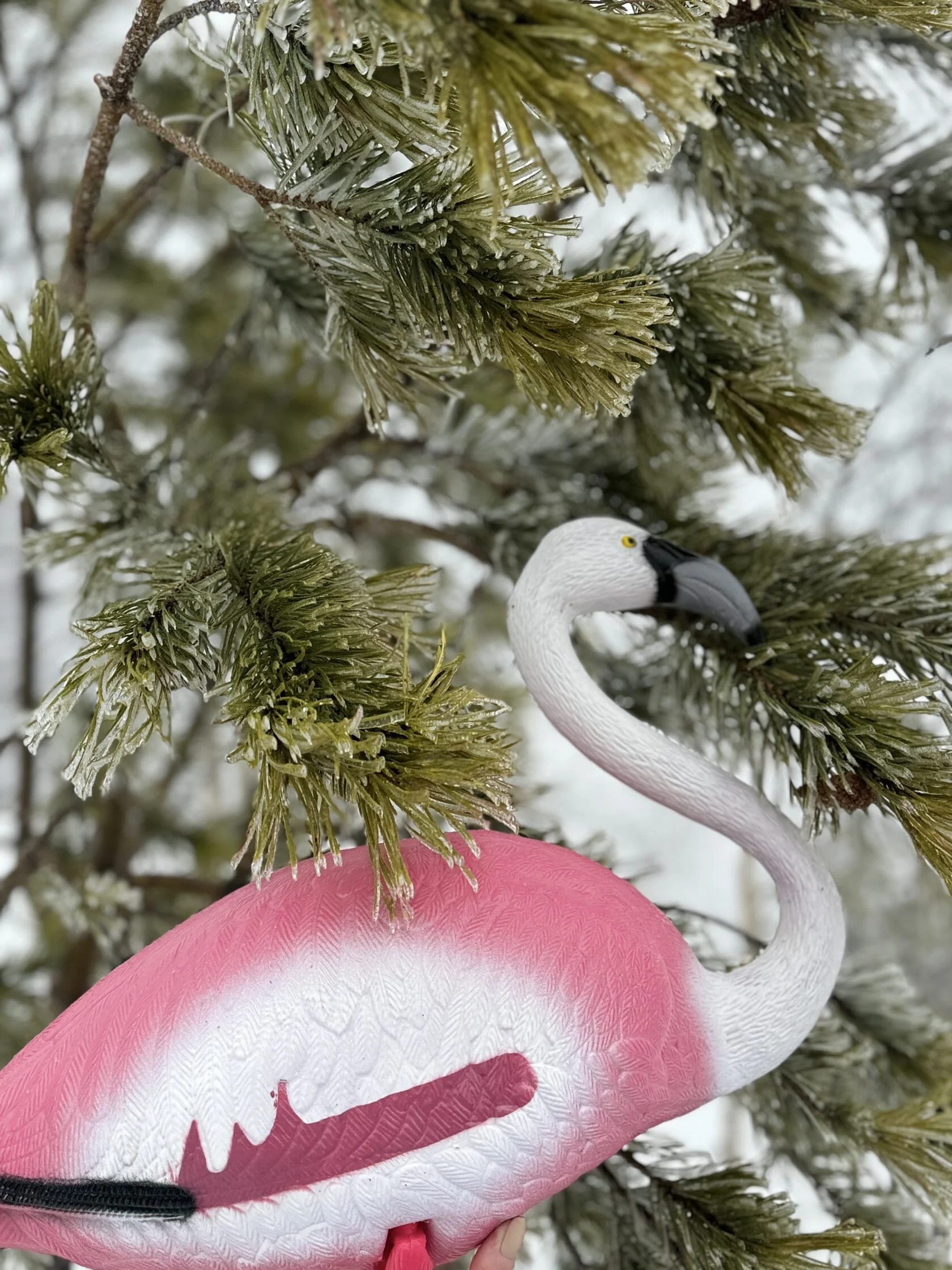 Таганай, лайт-поход с пельменями и посикунчиками! (10/36)