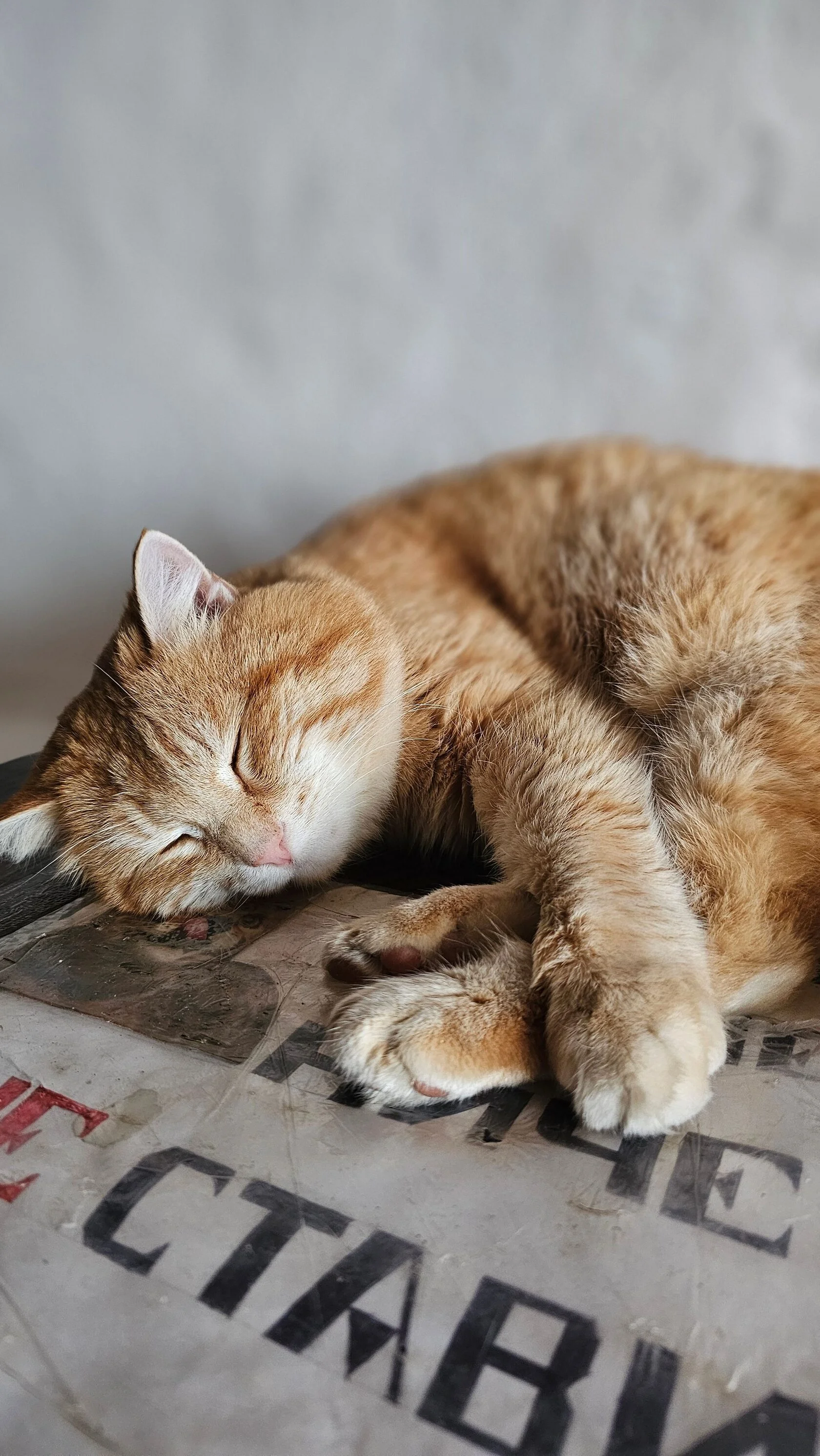 Таганай, лайт-поход с пельменями и посикунчиками! (7/36)