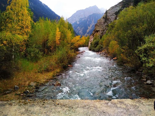 Живые полотна природы за 3 дня. (5/27)