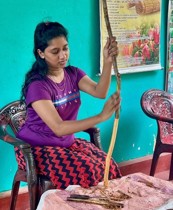 Речное Сафари + форт Галле (12/15)