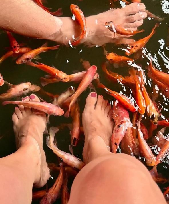 Речное Сафари + форт Галле (10/15)