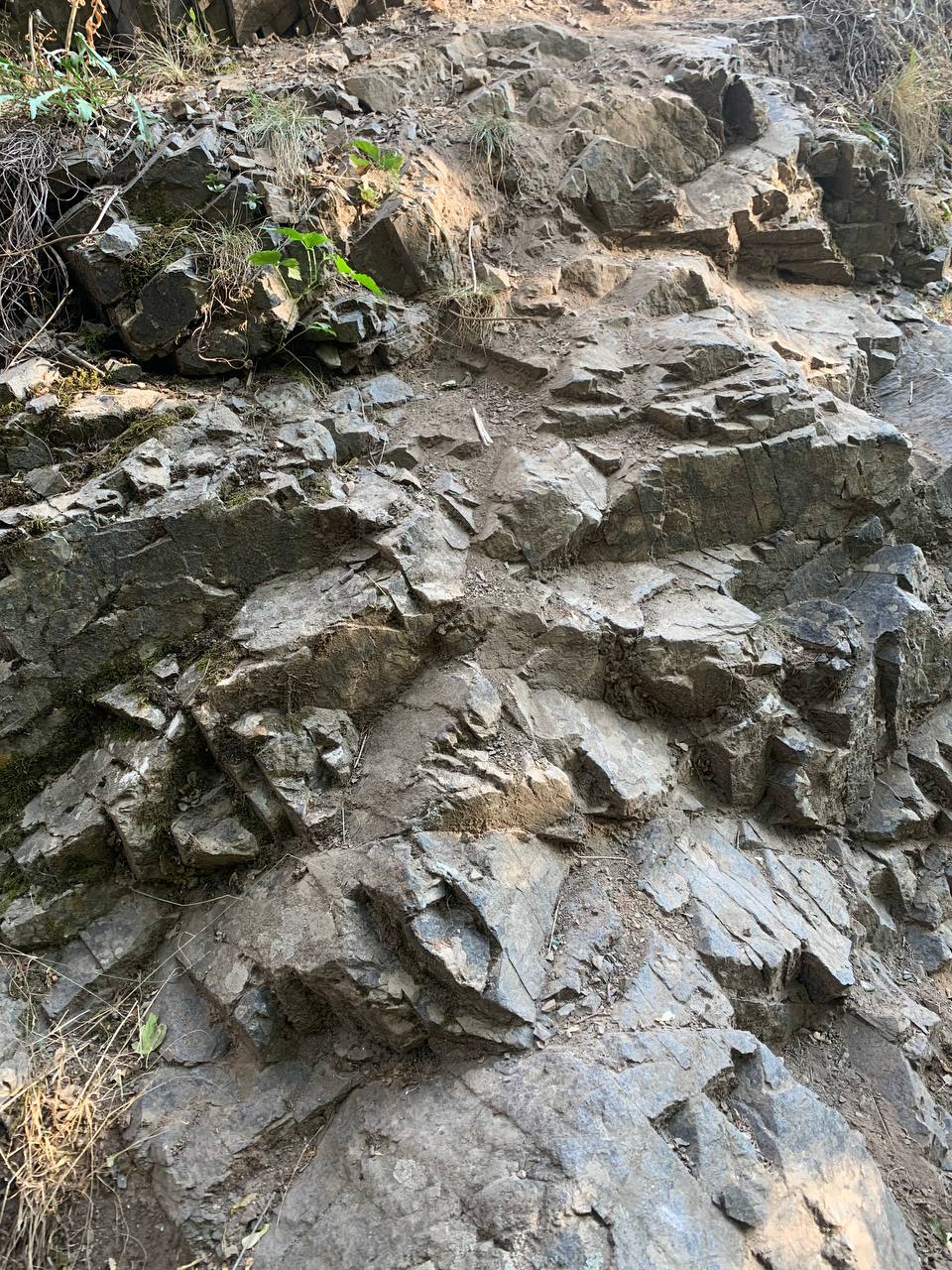 Живые полотна природы за 3 дня. (9/27)