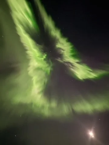 Космические Креветки на Белом море (15/35)