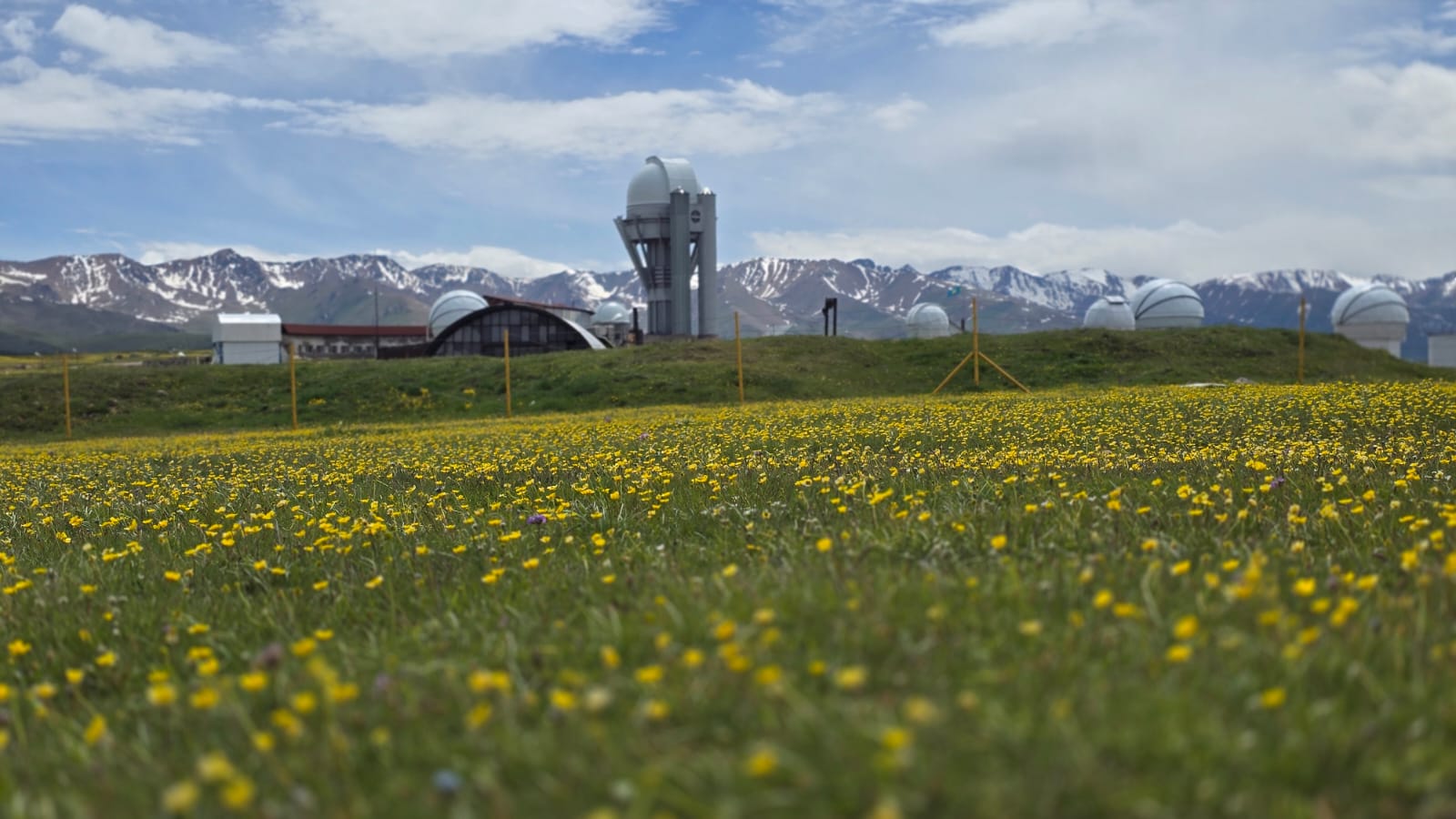 Живые полотна природы за 3 дня. (25/27)