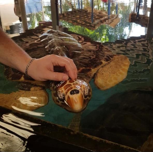 Речное Сафари + форт Галле (11/15)