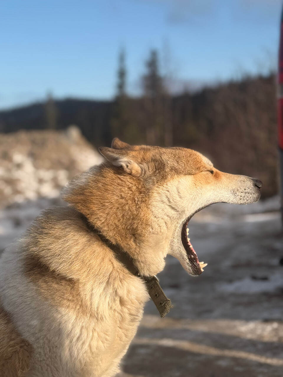 Космические Креветки на Белом море (16/35)