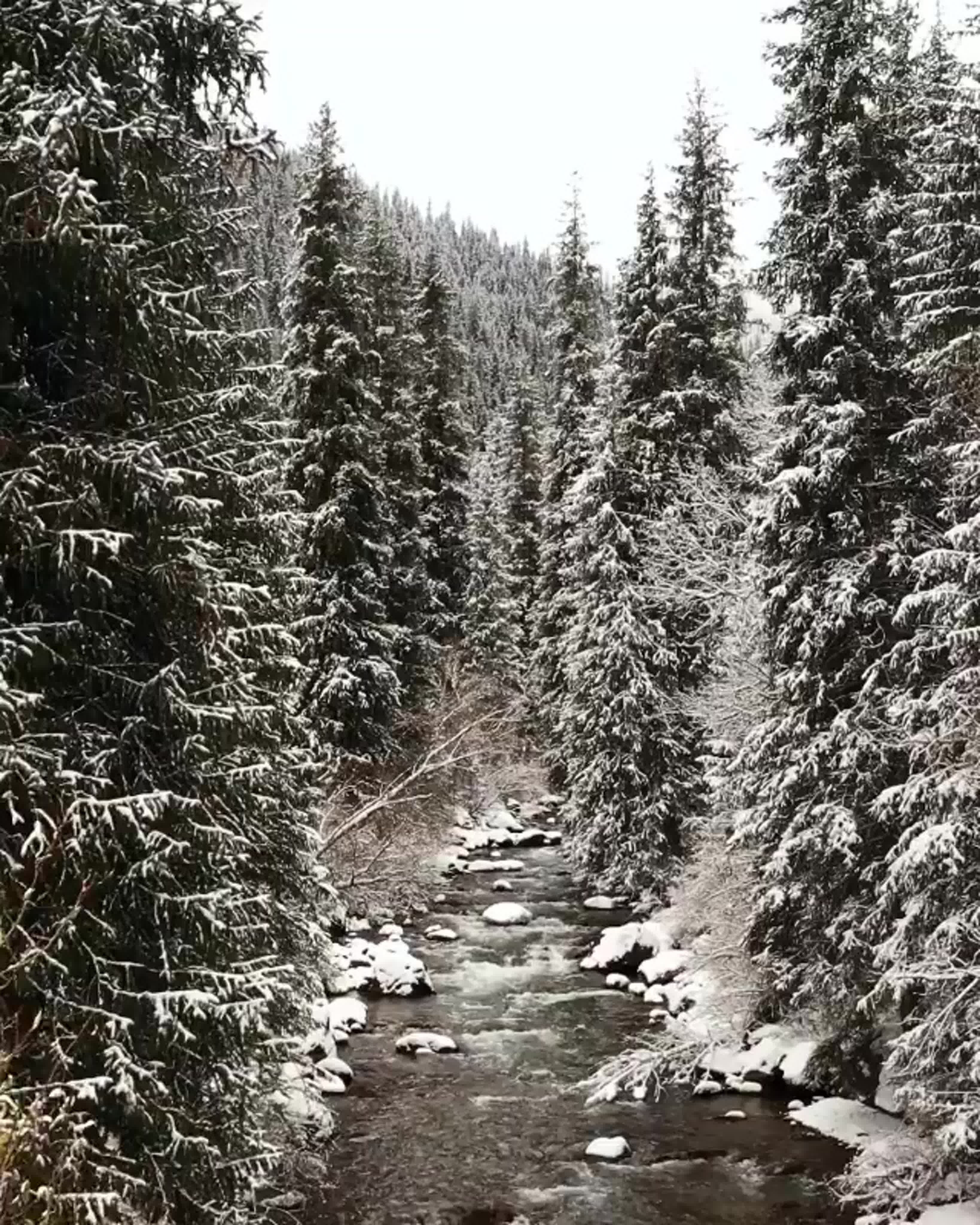Живые полотна природы за 3 дня. (10/27)