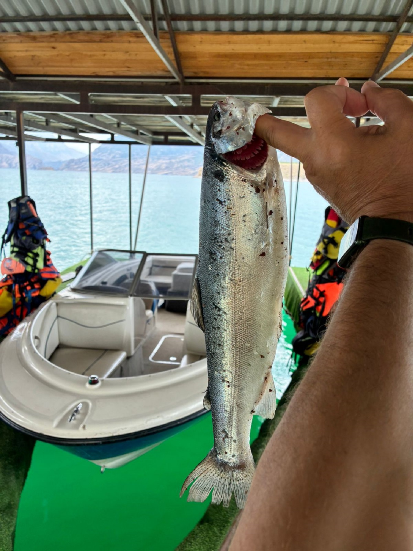 Рыбалка в Дагестане: три дня наедине с природой (5/14)