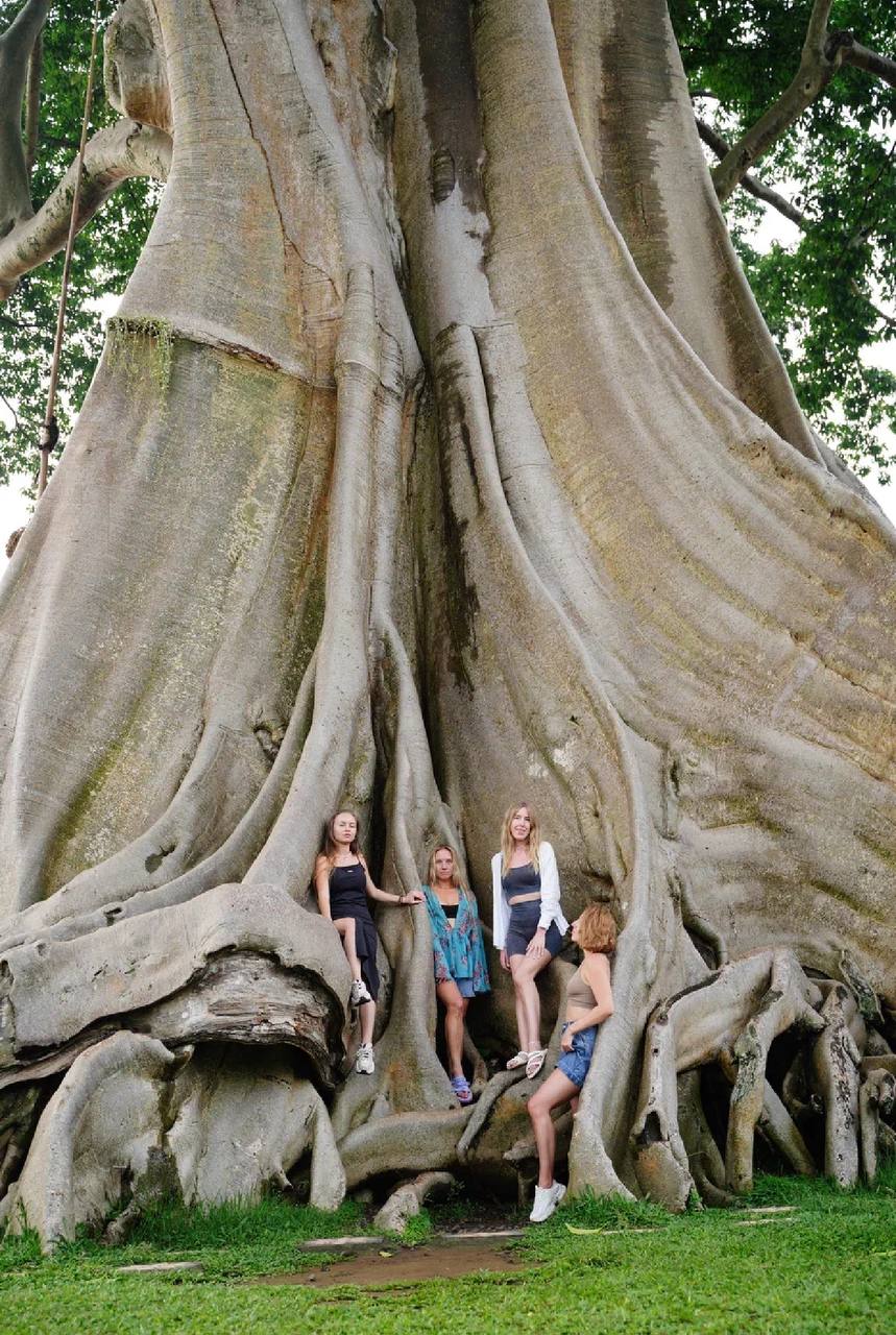 Бали: 11 Дней Тура в Убуд, Нуса Пениду и Улувату (18/29)