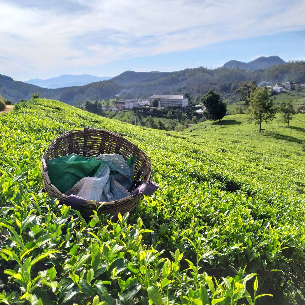 Индивидуальный тур для двоих по лучшим местам Сокровища острова (8/36)