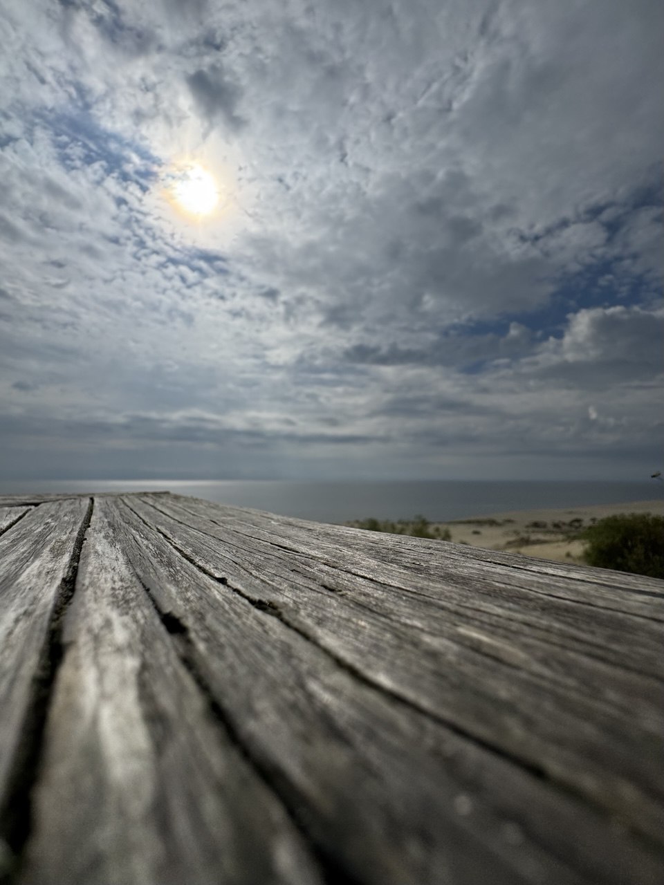 Куршская коса и ее Красота (16/21)