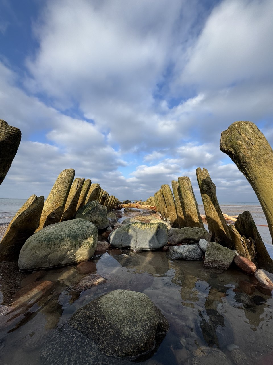 Куршская коса и ее Красота (19/21)