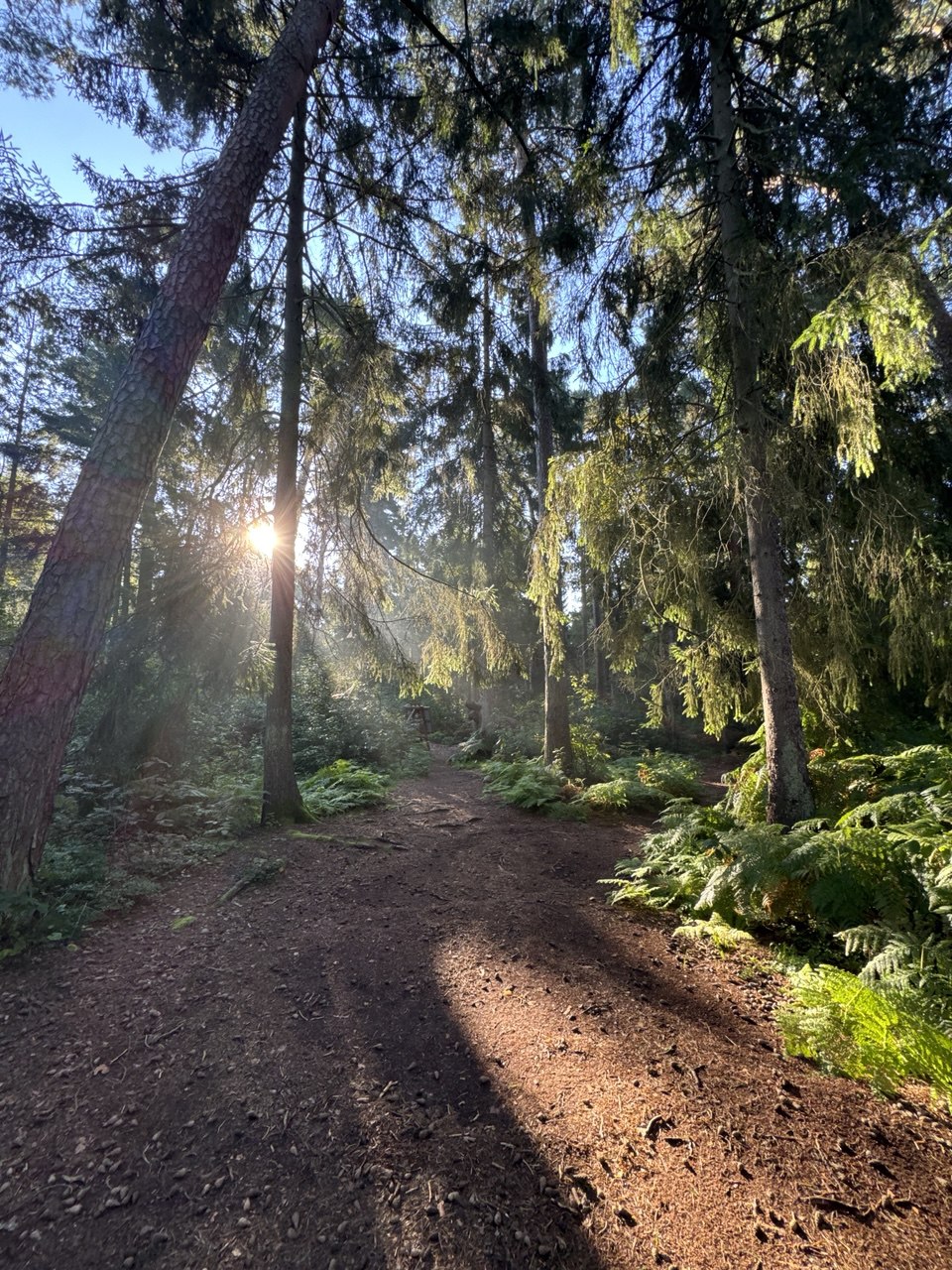 Куршская коса и ее Красота (9/21)