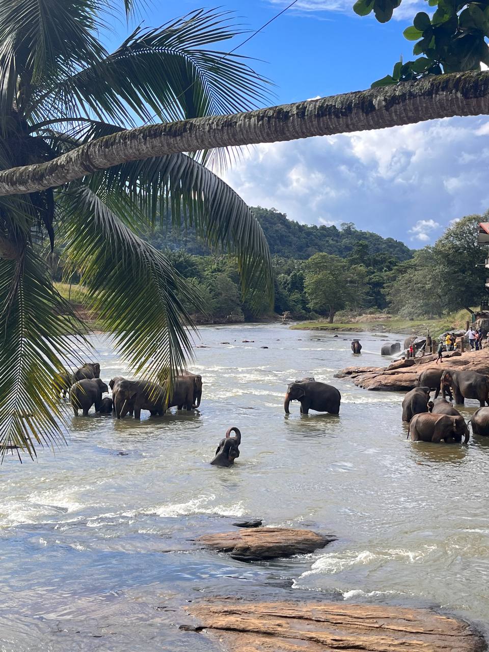 Слоны, башня, чай и водопад