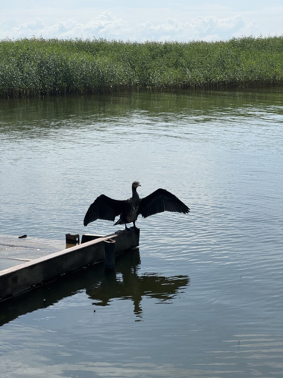 Куршская коса и ее Красота (21/21)