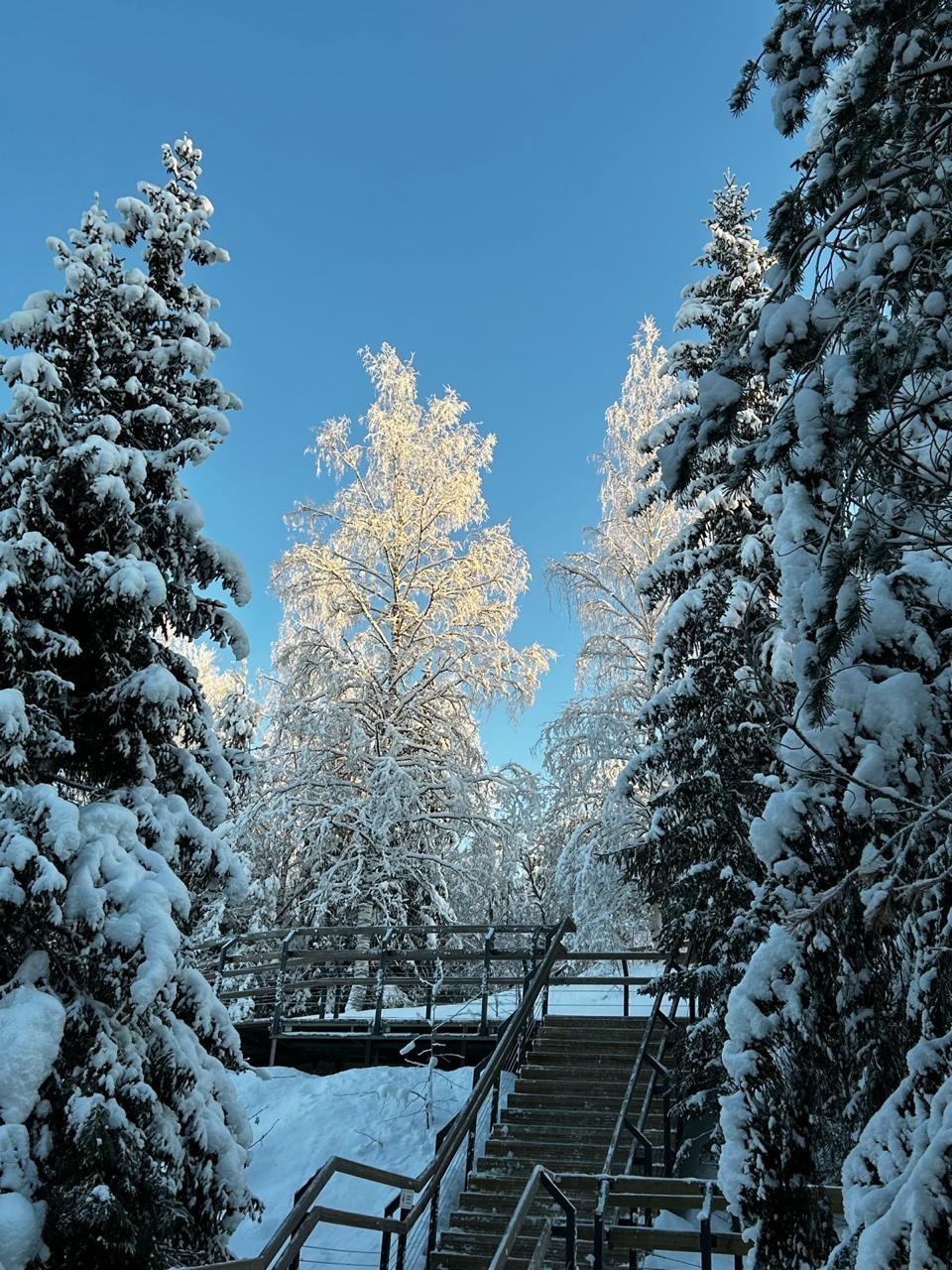 Мрамор и водопады - горный парк Рускеала и его окрестности (1 день, Даты Любые!) (14/17)