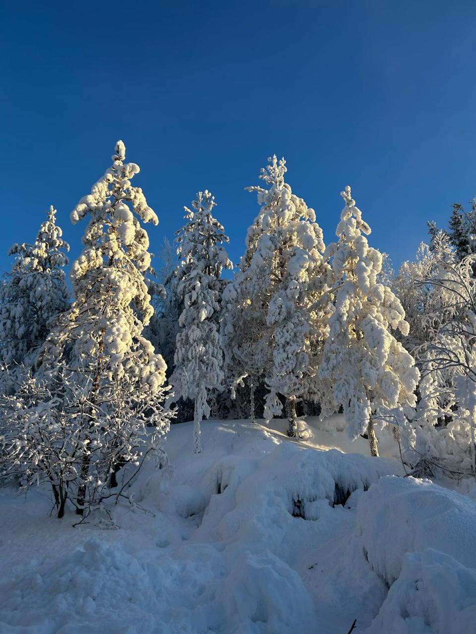 Мрамор и водопады - горный парк Рускеала и его окрестности (1 день, Даты Любые!) (13/17)