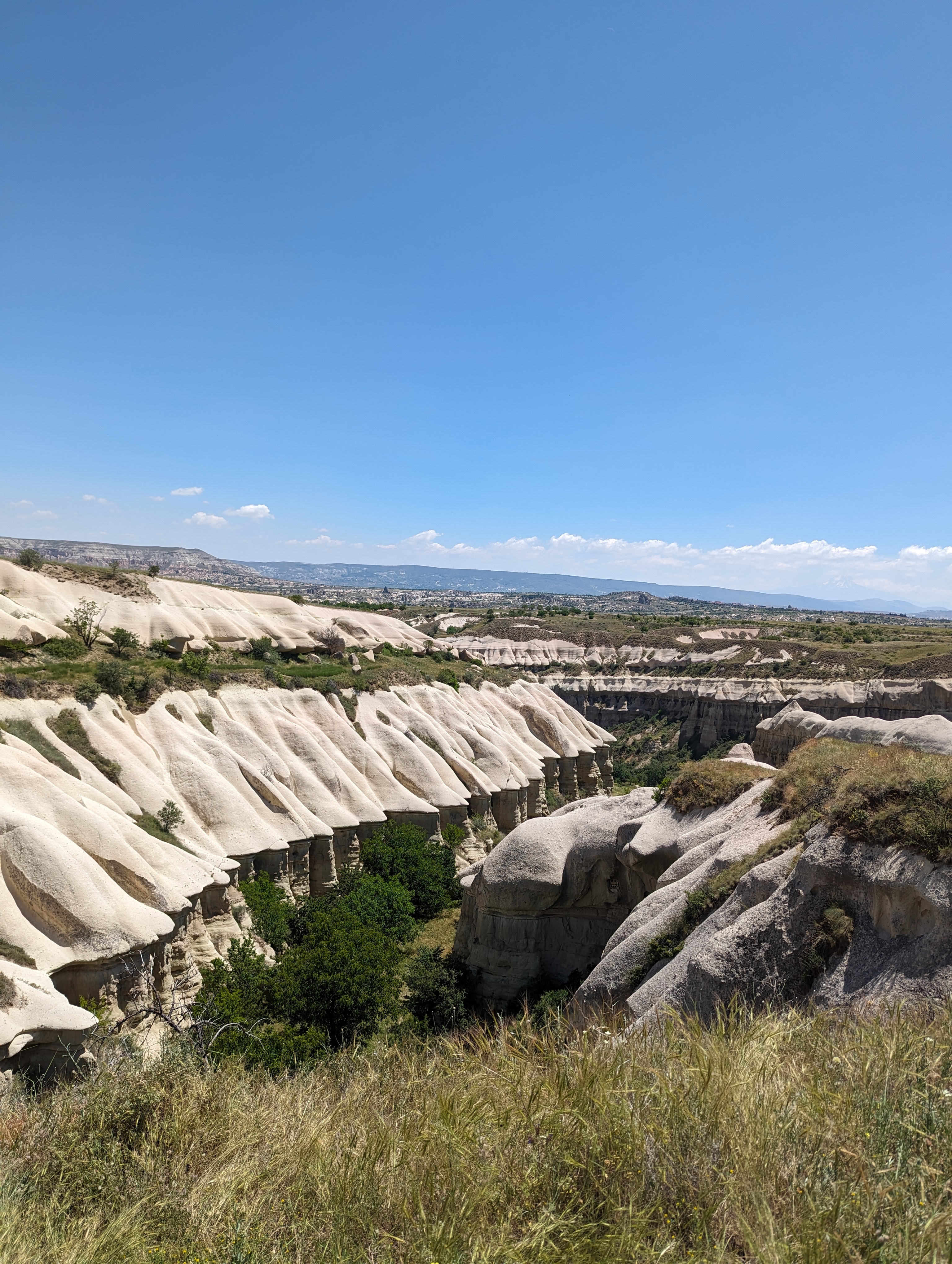 Исполняя мечты: воздушные шары, космические долины, квадроциклы (11/24)