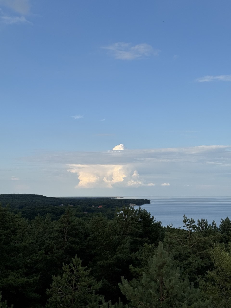 Куршская коса и ее Красота (5/21)