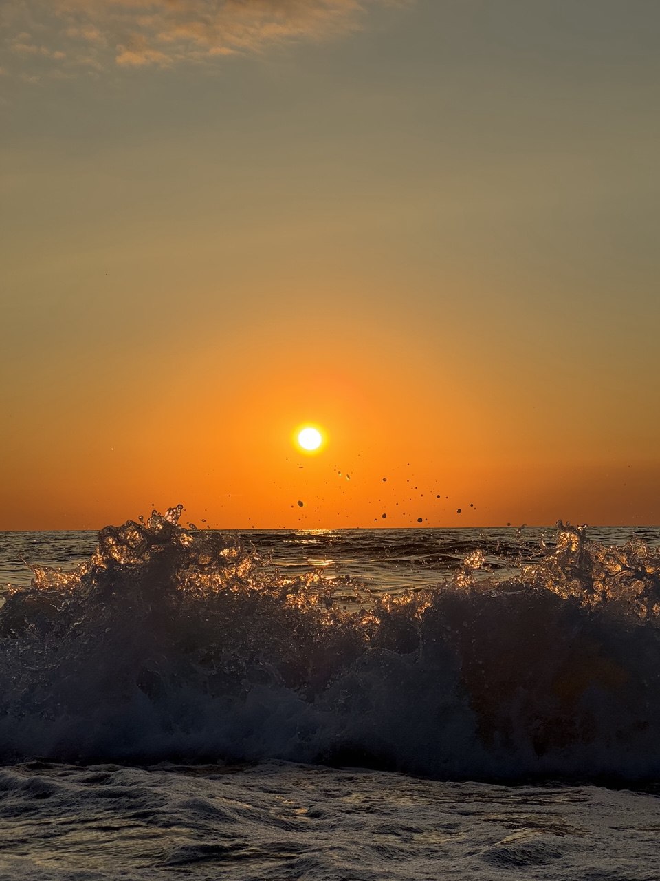 Куршская коса и ее Красота (4/21)