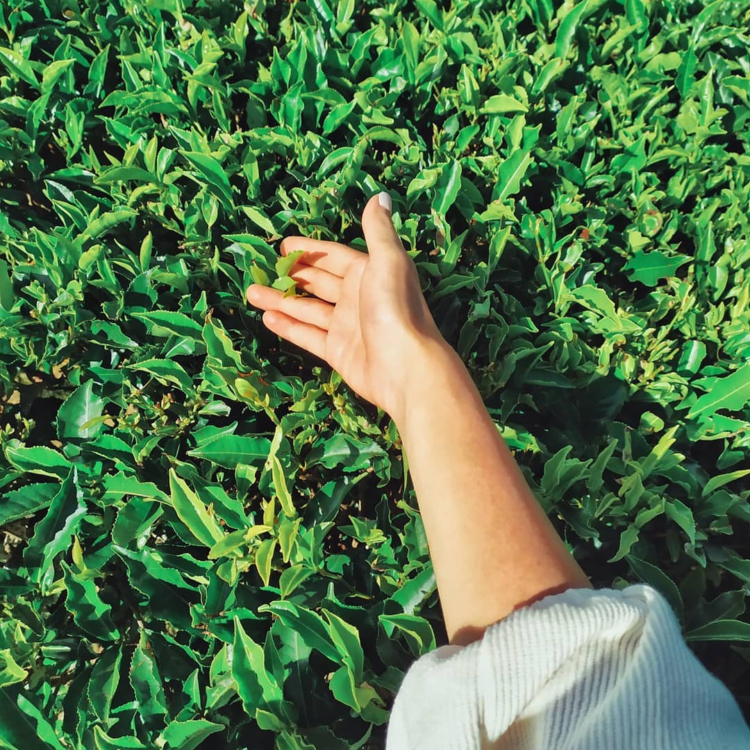 Индивидуальный тур для двоих по лучшим местам Сокровища острова (9/36)