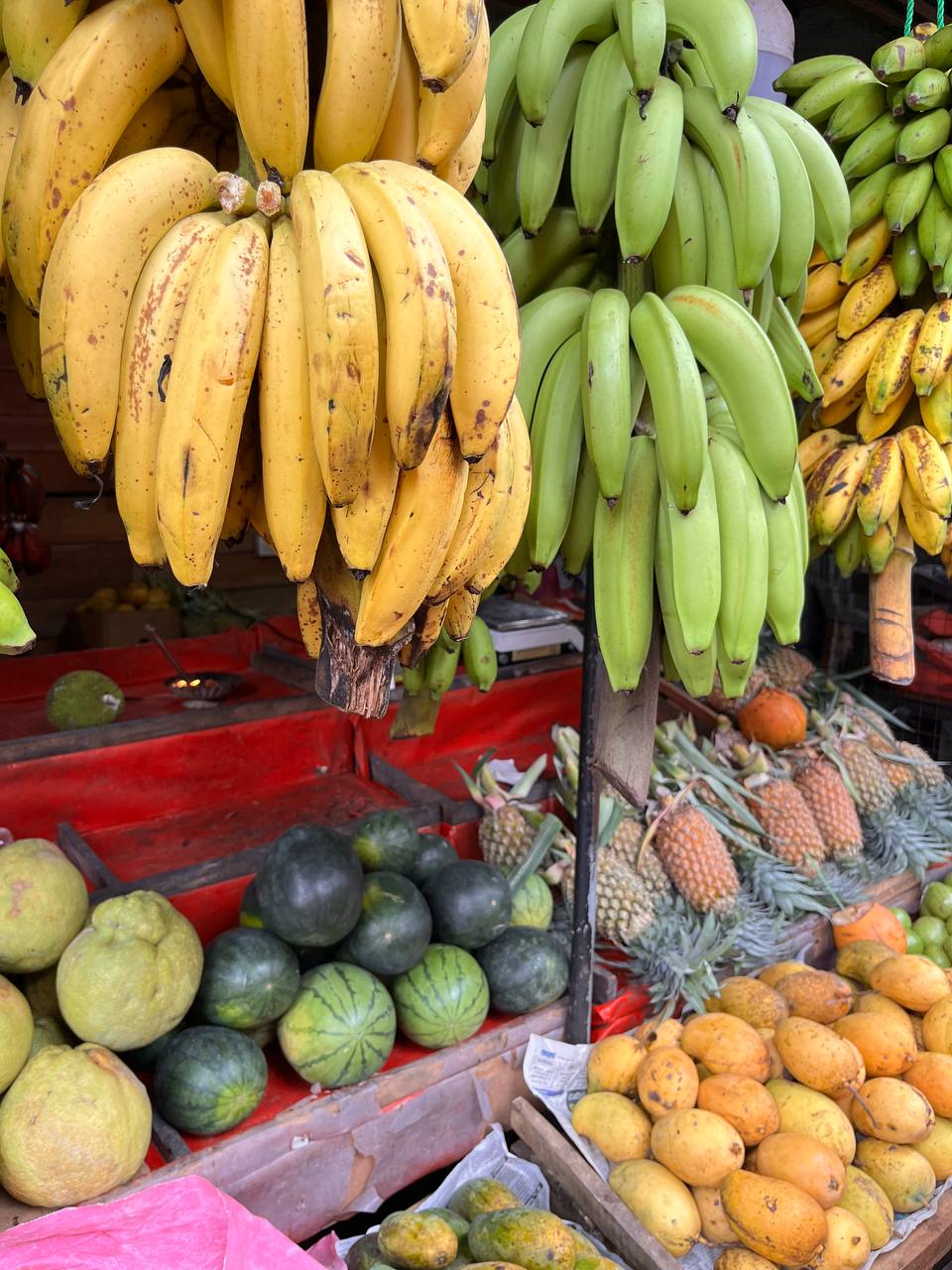 Соседние пляжи и исследование побережья