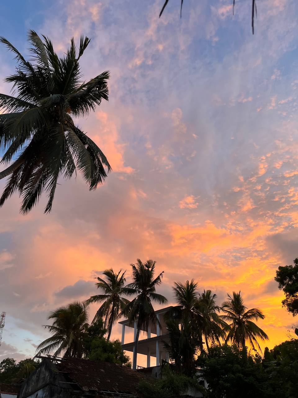 Сувениры и тропический релакс