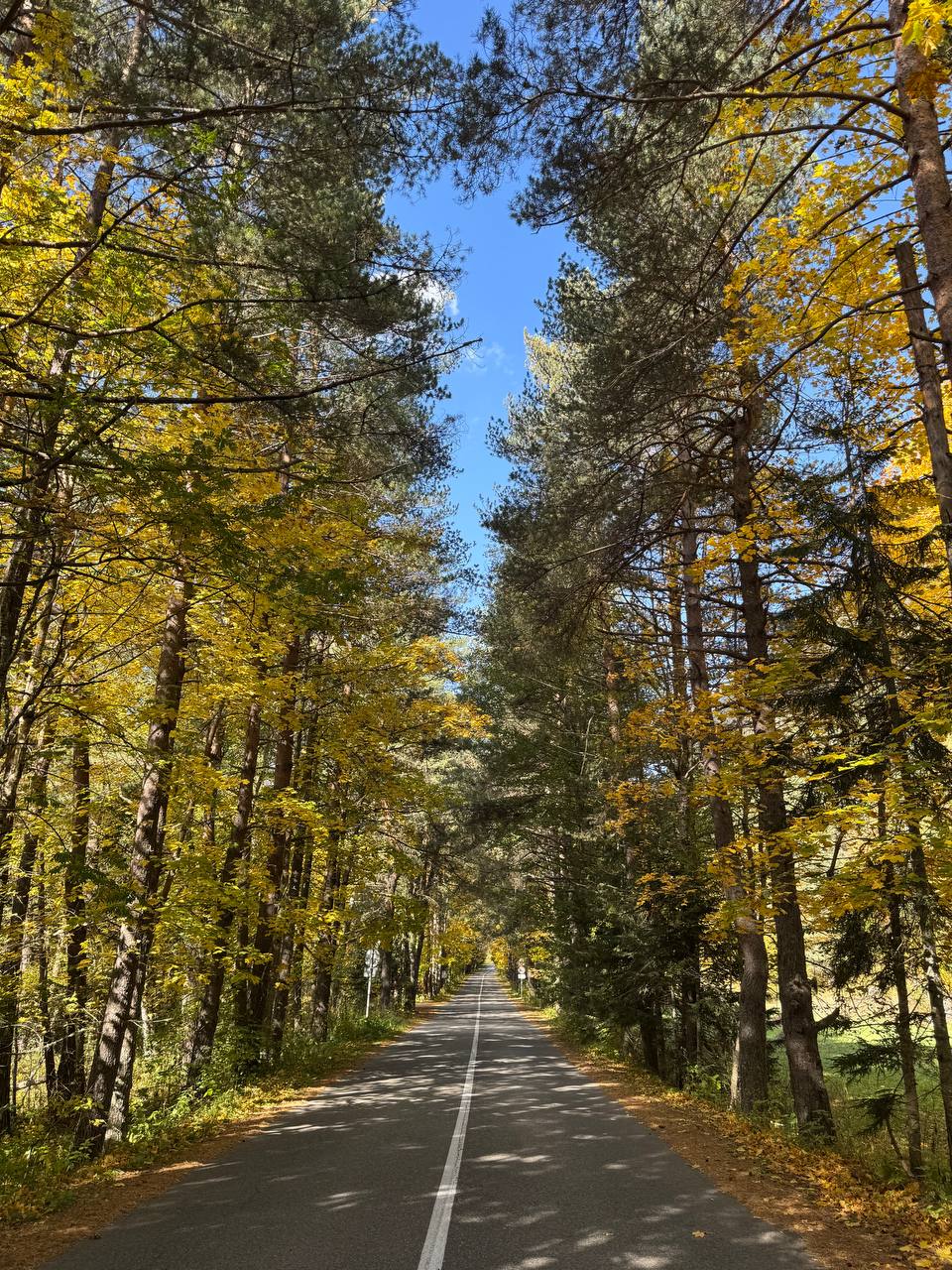 Трип по Карачаево-Черкесии! Домбай+Архыз с комфортом в мини-группе! (12/74)