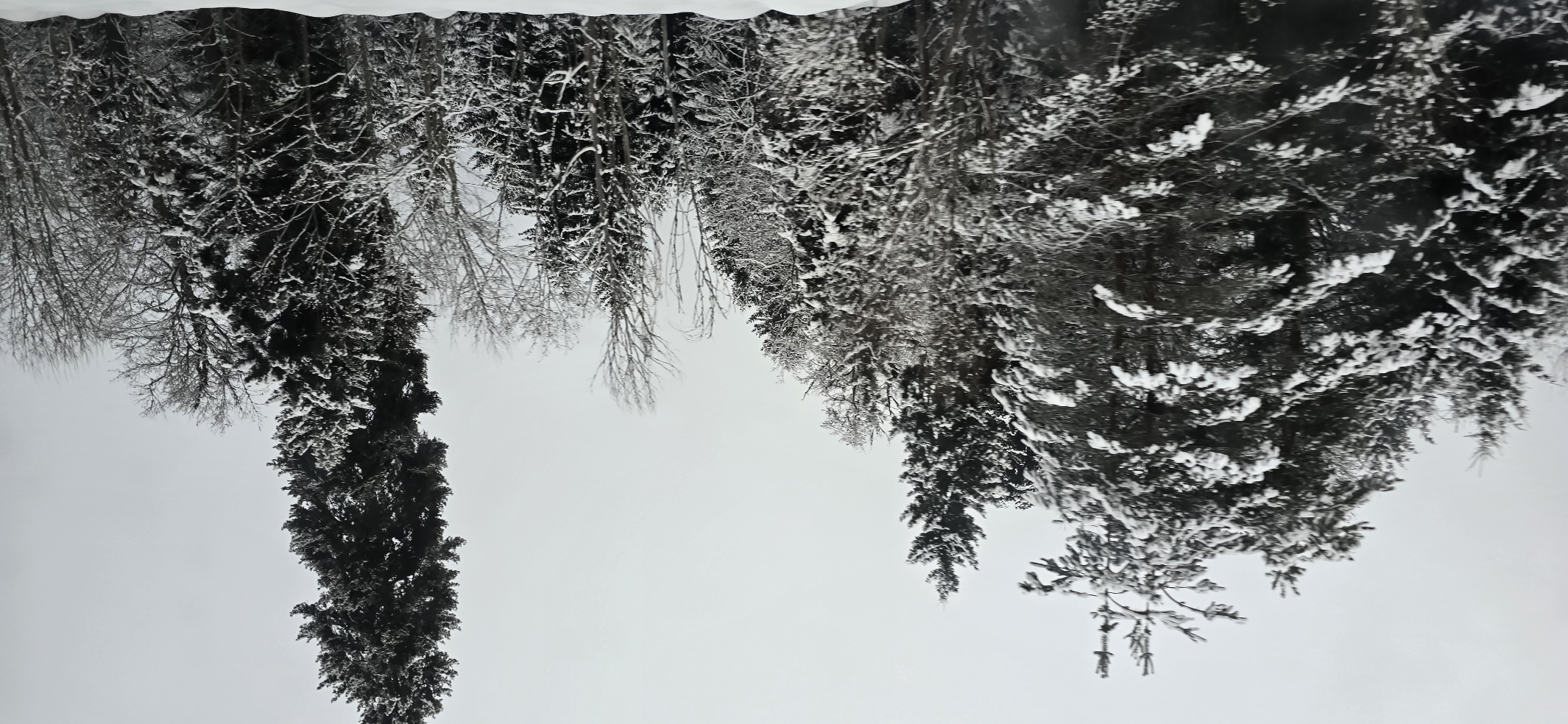 Санаторно - оздоровительный тур в Боржоми  для  перезагрузки (3/31)